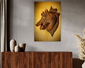 Old stuffed head of a wild boar with open mouth by Joost Adriaanse