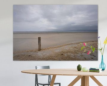 Beach Ameland (5) sur Bo Scheeringa Photography