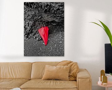 Red umbrella on volcanic basalt rocks in Iceland by MPfoto71