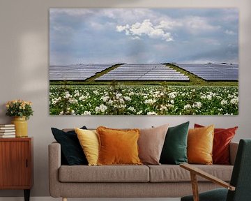 Zonnepanelen in de natuur ( zonne-energie ) van Chihong