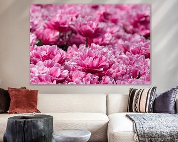 a field of lilac-colored tulips by W J Kok