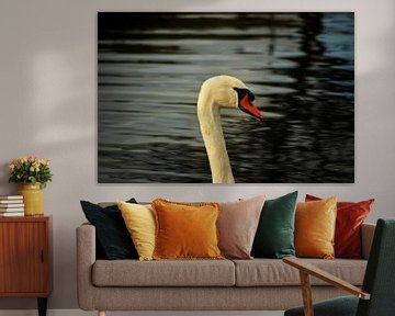 The swan in the Amsterdam water supply dunes. by Laura van Grinsven