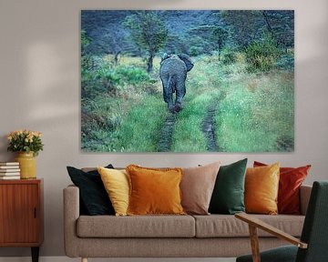 Never walk alone! Elephant following its herd (Photo Painting) by images4nature by Eckart Mayer Photography