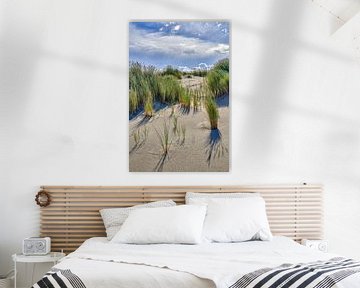 dune with the landscape including flowering marram grass