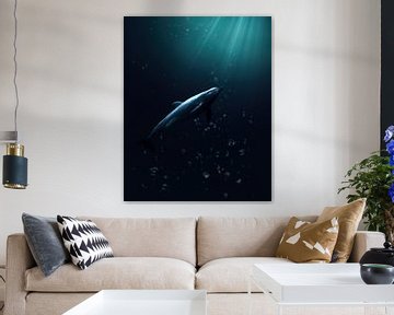 Dolphin Underwater with Beams of Light by Roman Robroek