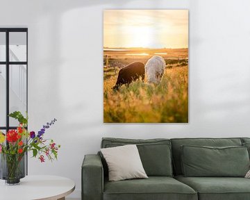 Schafe genießen den Sonnenuntergang von Fernlicht Fotografie