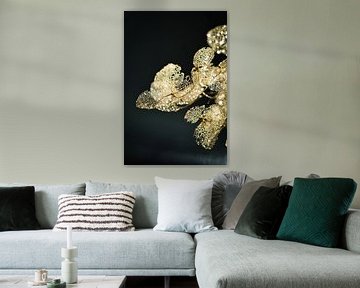 Gold that shines by Esther van Dijk