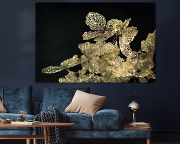Golden hydrangea by Esther van Dijk
