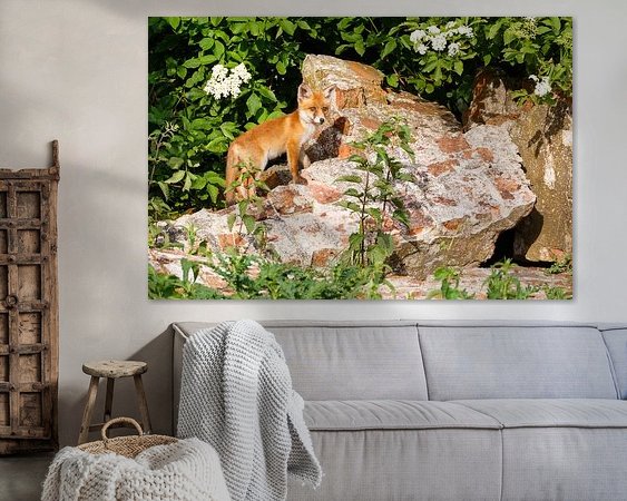 Aperçu de la chambre