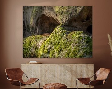 Labyrinthe, Suisse saxonne - Niches rocheuses avec mousse sur Pixelwerk