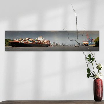 Container ship on the Elbe heading for the port of Hamburg by Jonas Weinitschke