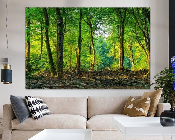 Aperçu de la chambre