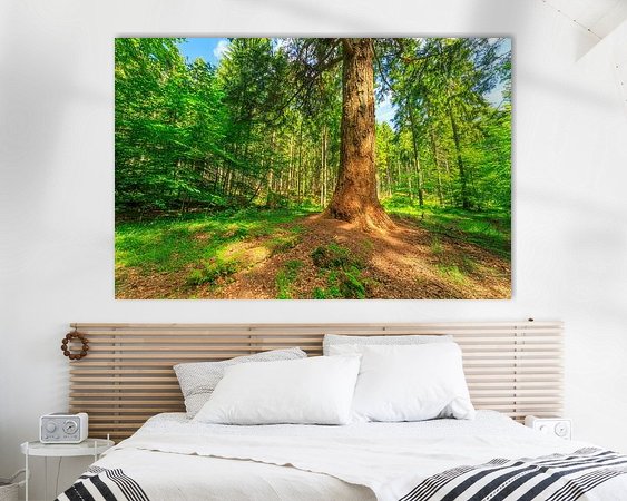 Aperçu de la chambre