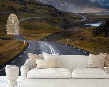 Bijzondere wegen in IJsland van Roy Poots