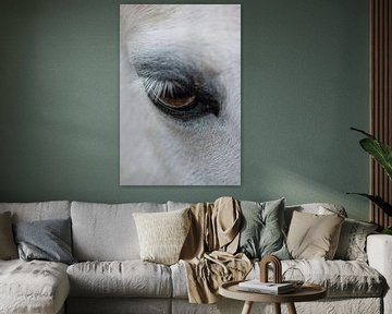 Het oog van een wit paard van SonjaFoersterPhotography