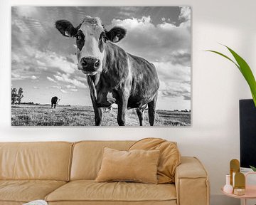 Vache en noir et blanc sur Dirk van Egmond