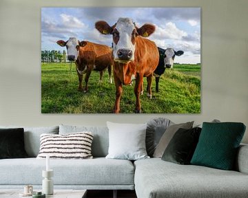 Three beautiful cows in the meadow by Dirk van Egmond