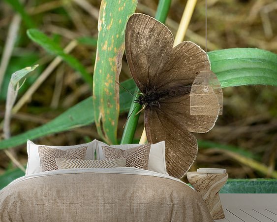 Raumvorschau