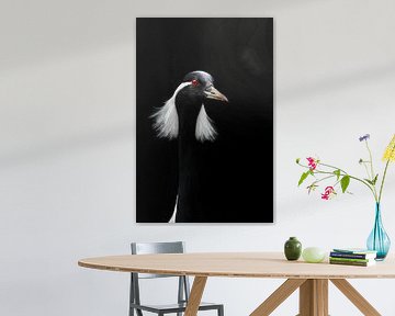 Portret van een maagdenkraanvogel ( Grus Virgo ) van Leny Silina Helmig