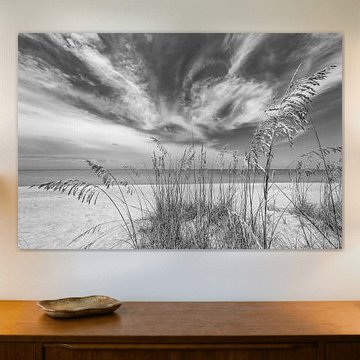 Alone on the beach | Monochrome