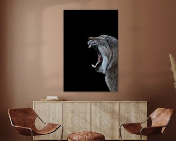 Yawning lynx on black background by SonjaFoersterPhotography