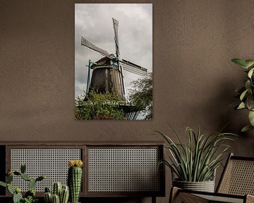 Moulin à farine le Bleeke Dood à Zaandijk. sur Zaankanteropavontuur