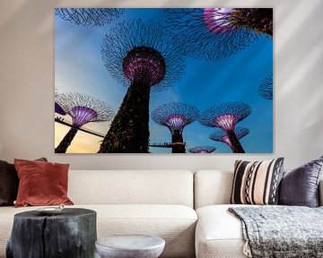 Supertree grove, Singapour sur Jan Schuler