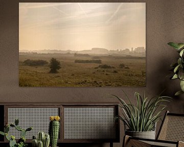 Lever de soleil avec brume dans les dunes lors d'un matin d'été sur Sjoerd van der Wal Photographie