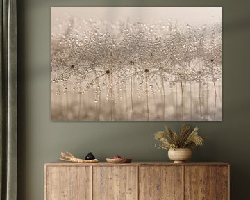 Abstract: Droplets decorate the fluff by Marjolijn van den Berg