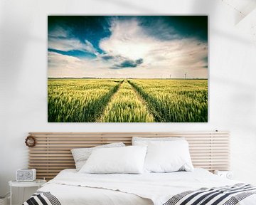 Green wheat ears during late spring with a cloudy sky above by Sjoerd van der Wal Photography