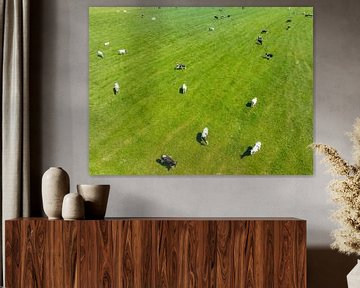 Koeien in een groen weiland tijdens de lente van bovenaf gezien van Sjoerd van der Wal