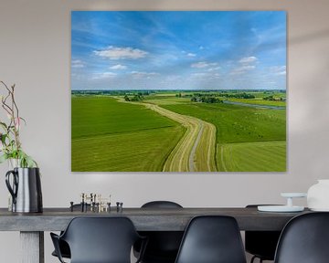 Landwirtschaftliche Landschaft im IJsseldelta im Frühling von Sjoerd van der Wal Fotografie