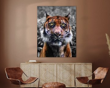 Close-up portret van een  Sumatraanse tijger van Chihong