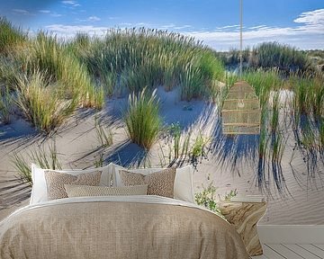 Dunes on the Wadden Island of Texel in summer by eric van der eijk