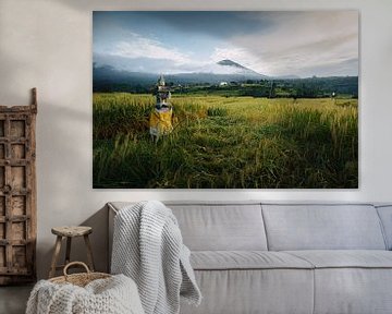 Jatiluwih rice fields overlooking the mountain in Bali by Thea.Photo