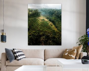 Drone foto van de Tegalalang rijstvelden op Bali van Thea.Photo