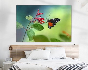 Vlinder op een bloem tegen een mooie achtergrond