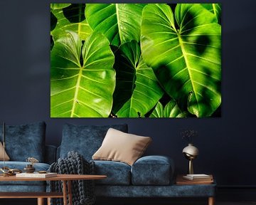 Jungle feeling - Philodendron leaves in Panama by The Book of Wandering