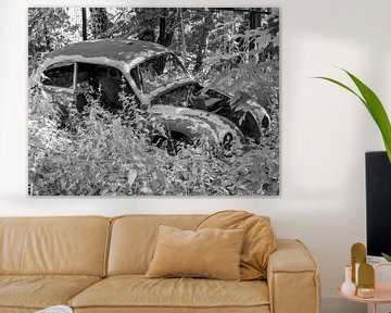 vieille voiture dans la forêt sur Animaflora PicsStock