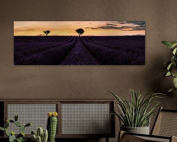 Sfeervolle Provence in Frankrijk met paars lavendelveld. van Voss Fine Art Fotografie