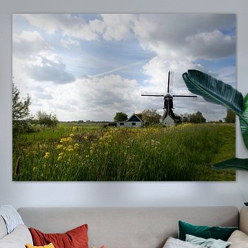 Mühlen in typisch holländischer Landschaft