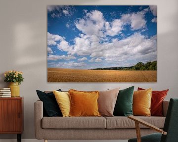 Abundance by Boogartphotographics