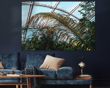 Palm frond by Heiko Westphalen