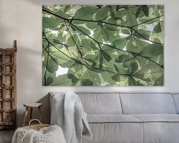 Pastel groen zacht bladerdak, patronen in de natuur art print - boho natuurfotografie van Christa Stroo fotografie