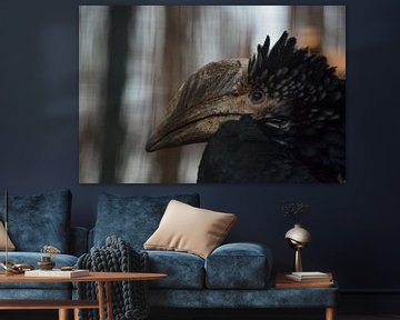 Zilveroorneusvogel van Sydney Overvliet