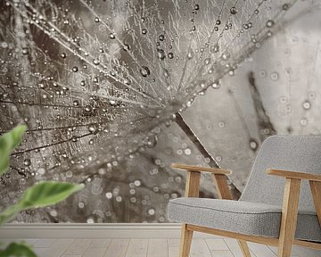 Abstract vista: Through the fluff of the morning star by Marjolijn van den Berg