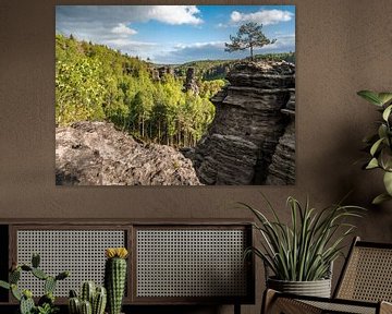 Bielatal, Saksisch Zwitserland - Steenslag met pijnboom van Pixelwerk