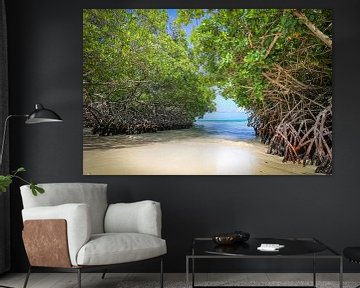 Mangroves sur la plage de Mangel Halto à Aruba sur Arthur Puls Photography