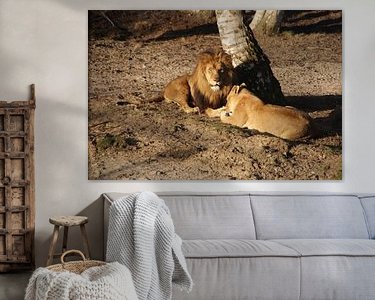 Aperçu de la chambre