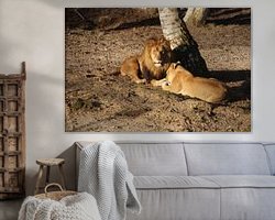 Aperçu de la chambre